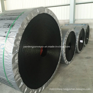 Polyester Conveyor Belt with Acid-Alkali Resistant